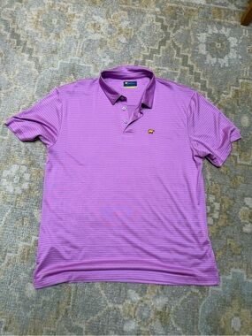 Men's Purple Striped Performance Polo with Embroidered Logo